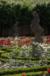 The garden behind the New Residence