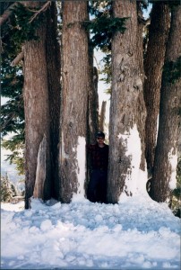 Bart amidst the trees