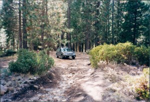 The road less traveled