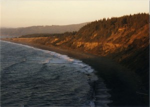 Sunset near the Redwoods