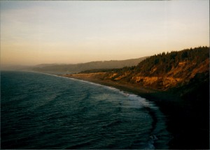 Sunset near the Redwoods
