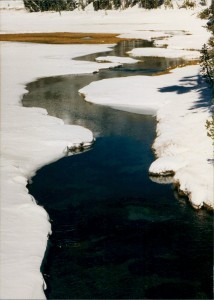 The mighty river up close