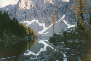 Reflections
