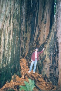 Bart in front of the redwood wall
