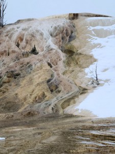 Mammoth Hot Springs