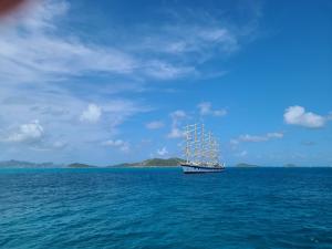 Tobago Cays