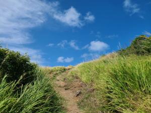 Climbing the hill