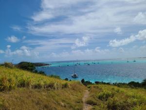 The view from halfway up