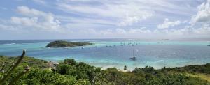 The view from halfway up