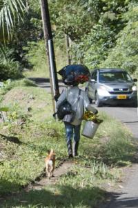 No backpack required
