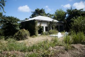 Family burial plot