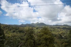 Grand Etang National Park