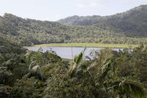 Grand Etang National Park