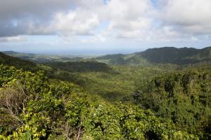 Grand Etang National Park