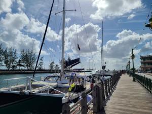 Tour boats