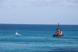 Tug boat