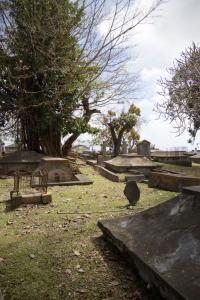 Graveyard