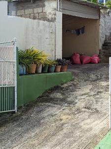pxl 20250206 145300402