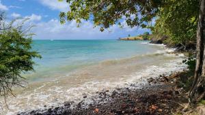 The last beach we stopped at