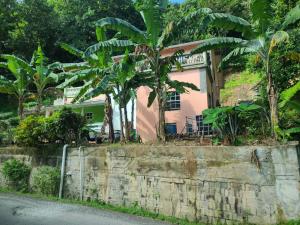 Pink house