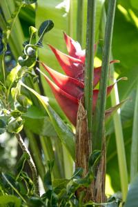 Botanical Garden