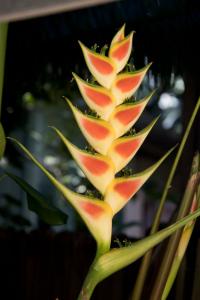 Botanical Garden
