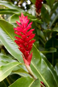 Botanical Garden