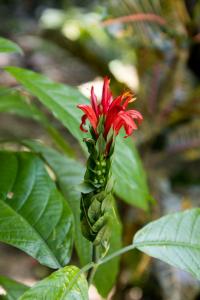 Botanical Garden