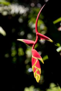 Botanical Garden