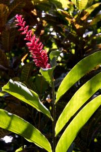 Botanical Garden