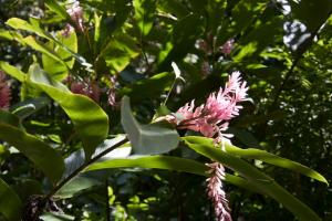 Botanical Garden