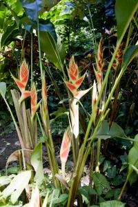 Botanical Garden