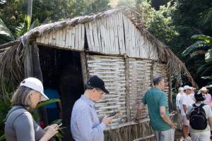 Cocoa/Sugar Plantation
