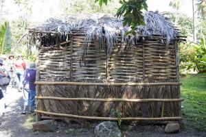 Cocoa/Sugar Plantation