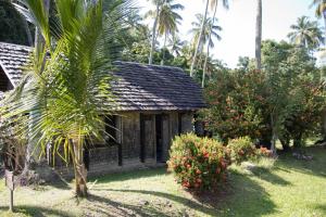 Cocoa/Sugar Plantation