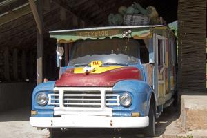 Cool bus
