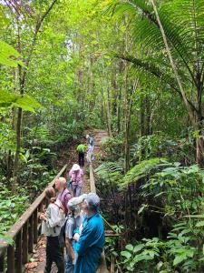 Trekking in the forest