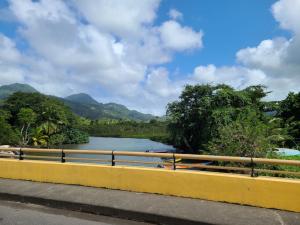 View from the bus
