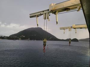 Cranes for the tender