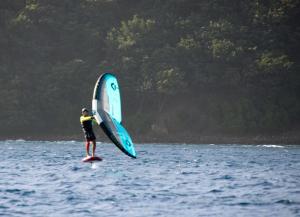 Sail boarder