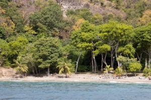 Les Saintes