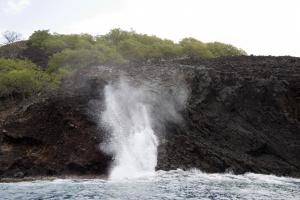 Blowhole