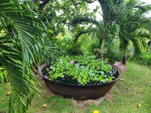 Fountain in a cauldron once used for sugar cane production