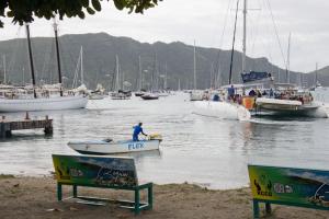 The harbor