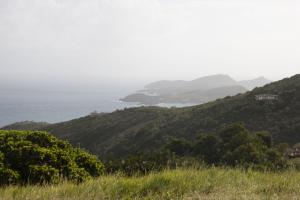 View from Mount Pleasant