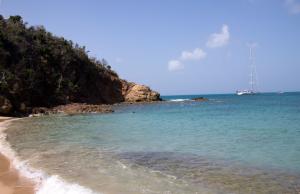 The place where everyone snorkeled