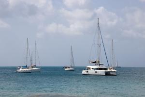 Boats in the bay