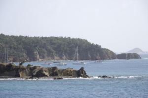 Grenadines