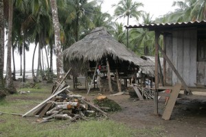Village