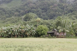 Out back of the village